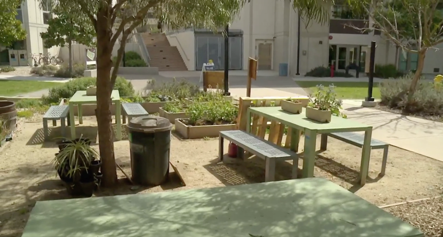 Seventh College Garden